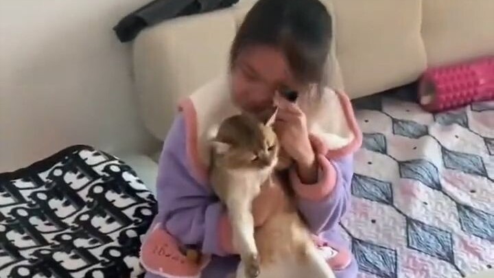 Girl bursts into tears, then grabs the cat to wipe her eyes...