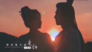 【白鹿×张凌赫】｜“世间事不是强求就有结果，但苦果亦是果 ” | 危宁 | 却看见天边一点点变红｜沈园外