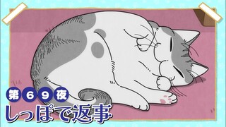 【中日字幕】与猫共度的夜晚/每晚和丘丘在一起 第三季 第69夜「用尾巴来回应」