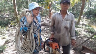 Cuộc Sống Mưu Sinh Sau Những Ngày Mưa Bão| TKQ T369