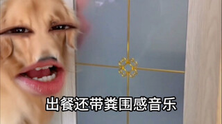 《音乐世家》