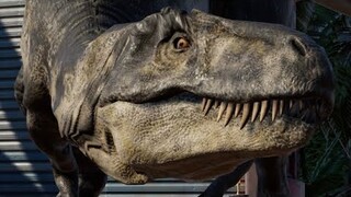 2 Teratophoneus & 2 Cretaceous Calamity Albertosaurus Breakout & Fight - JWE Mods (4K 60FPS)