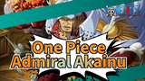 Chính nghĩa tuyệt đối của Đô đốc Akainu |One Piece