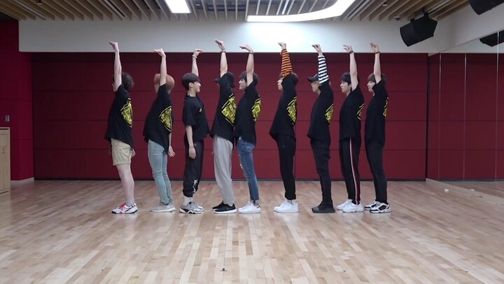 Have you ever seen such a cute lost kitten? The adorable stray kids in the practice room, suddenly f