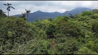 人只有感到幸福的時候才想說話,多說話,說廢話