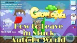 Growtopia How to Exit From Auto Dc Glitch