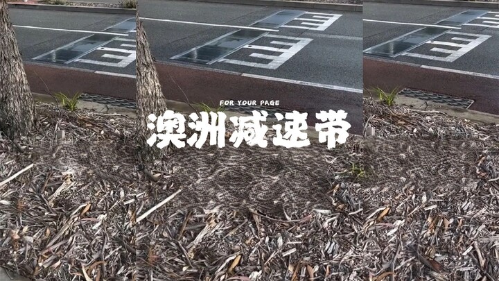 Perangkat speed bump khas Australia yang bikin kamu merasakan sensasi jatuh bebas!