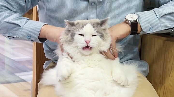 Tại sao mọi người đều không thích mình?