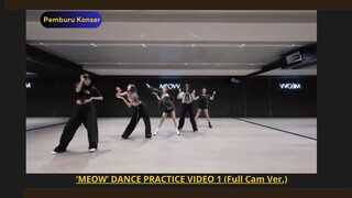 Sexy!! Meow Practice!! Part 1