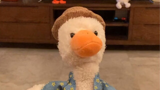 What kind of silly repeating duck is this? I'm laughing my head off!