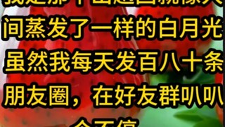 我是那个出趟国就像人间蒸发了一样的白月光，虽然我每天发百八十条朋友圈，在好友群叭叭个不停