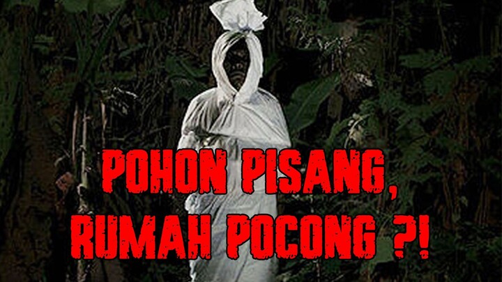 EMANG BENER, POHON PISANG ITU RUMAH POCONG?!