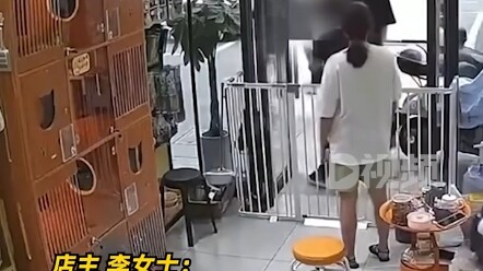 Ngày 1 tháng 6, tại Ninh Ba, Chiết Giang. Sau khi bị từ chối hoàn trả mèo, người phụ nữ đã ném mèo x