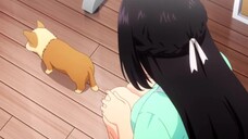 INUKAI SEBENARNYA BERMIMPI DAN SELURUH KISAH TERJADI DI ALAM BAWAH SADARNYA