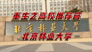 重生之高校推荐官《北京林业大学》