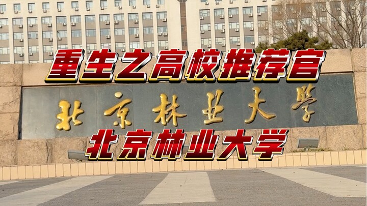 重生之高校推荐官《北京林业大学》