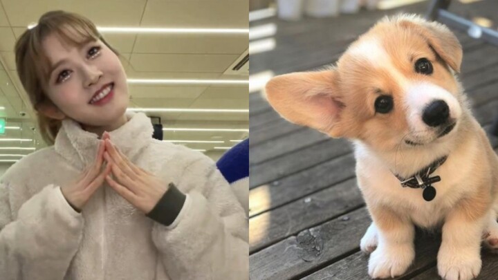 رقصة إيماءات بارك شي أون من فرقة STAYC لطيفة جدًا، عذرًا للتحدي، إنها لطيفة جدًا، آسفة