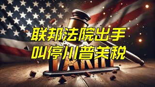 Mượn đà xuống ngựa hay làm trầm trọng thêm khủng hoảng hiến pháp｜Tòa án liên bang đình chỉ thuế quan