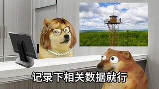 如果真的有这种工作，我可以干一辈子