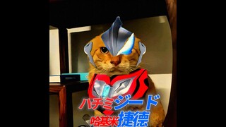 🐱捷德哈基米🐱（⚡哈基米の証⚡）