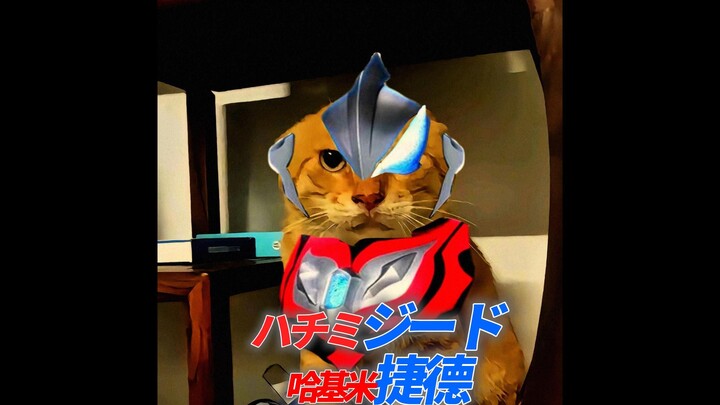 🐱捷德哈基米🐱（⚡哈基米の証⚡）