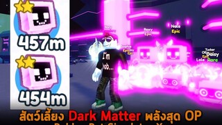 สัตว์เลี้ยง Dark Matter พลังสุด OP Roblox Pet Simulator X