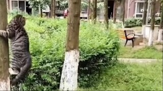 Tahan tawa part 26