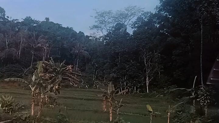 bahasa jepang lagu digimon adventure 1999