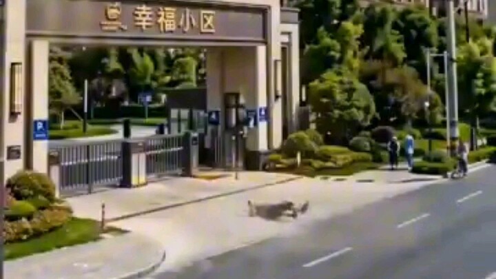 EP1 Isang lalaki na galing sa sinaunang mundo ay napunta sa modernong mundo