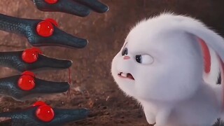 Đừng bao giờ để ông chủ ra mật hiệu.