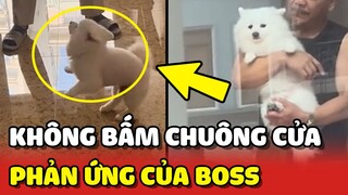 Thử thách giả vờ QUÊN CHÌA KHÓA để xem PHẢN ỨNG của bé chó Pom 😂 | Yêu Lu