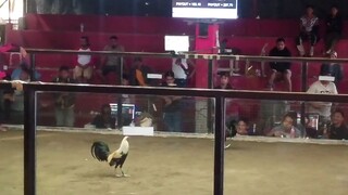 grabe tawa ni kuya sa likod 😆