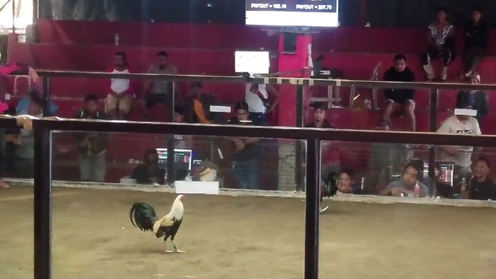 grabe tawa ni kuya sa likod 😆
