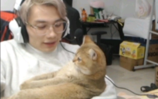 “Kamu malas, atau suntikannya nggak enak ya, Yuanbao～”