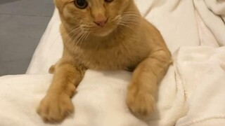 เขาชื่นชมผ้าห่มอุ่น