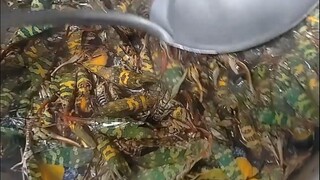 有多少人敢吃这玩意儿？