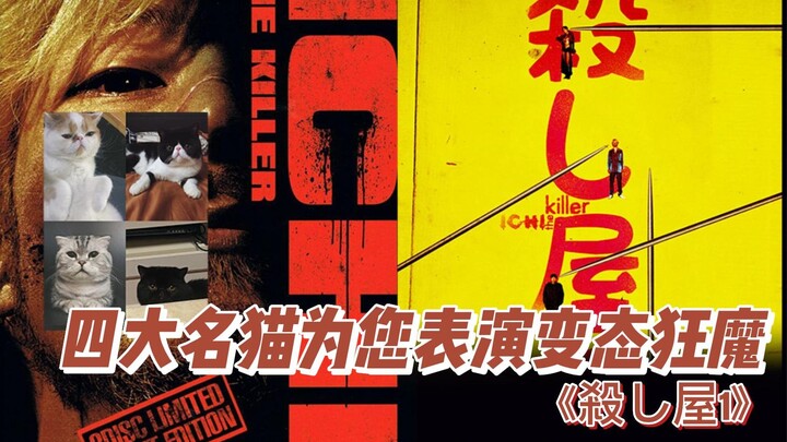 【Mu Cheng】“Sát thủ A Nhất” – Bốn chú mèo tái hiện mỹ học bạo lực của Sư Trưởng Tamchi, còn chú vẹt t