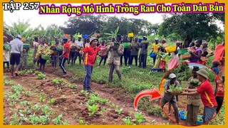 Nhân Rộng Mô Hình Trồng Rau Cho Toàn Dân Bản Địa