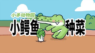 [Little Spear Zoo] Little crocodiles grow vegetables