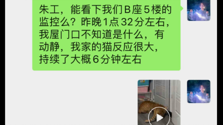 At 1:30 a.m., the usually quiet kitten suddenly became super alert, staring at the door and yowling 