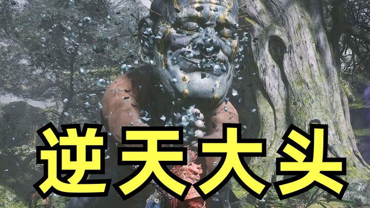 Cái đầu đen quá sức nghịch thiên!