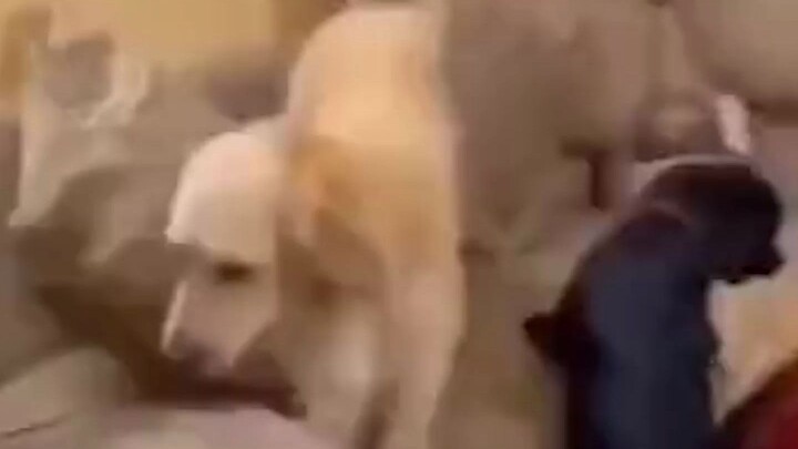 Without any preparation or concern