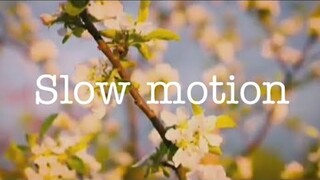 no copyright slow motion ~ music