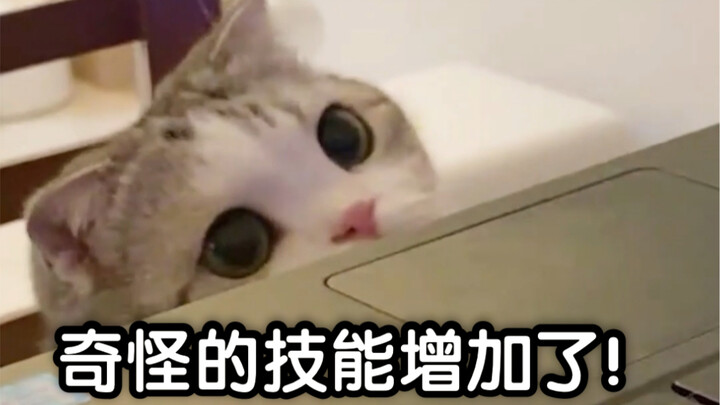 Saat Kucing Nonton Youth With You 2