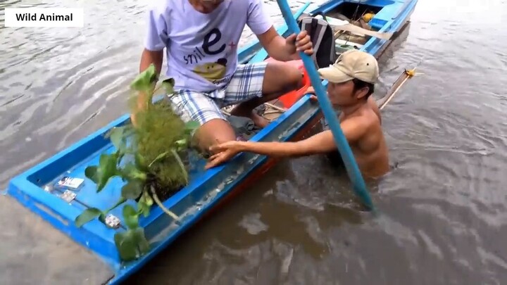 Lội Sông Bắn Cò _ Stork Hunting _ 15