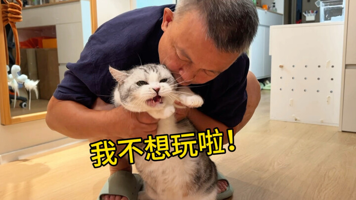 Why do cats stop wrecking the house once Mom and Dad start raising them? They’re just too tired!