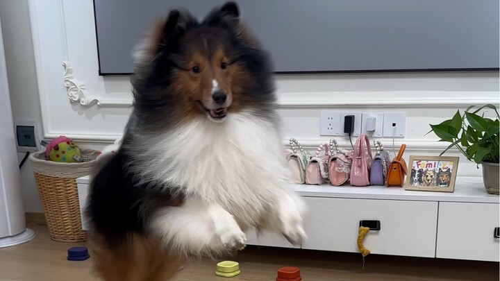 لو كان الألم يستطيع الكلام، لكان بالتأكيد يشتم بطريقة بشعة.