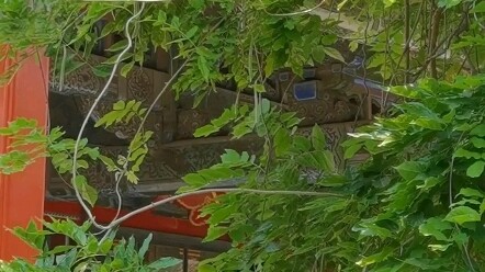 What Was the Real Qing Dynasty Imperial Harem Like?