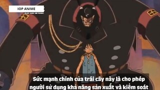 Top 7 Trái Paramecia Phòng Thủ Cực Mạnh Trong One Piece #2 6