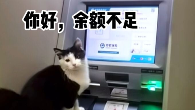 【Lồng tiếng động vật】Không có tiền thì mở ngân hàng làm gì